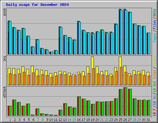 Daily usage for December 2024