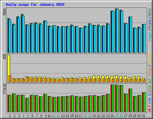 Daily usage for January 2025