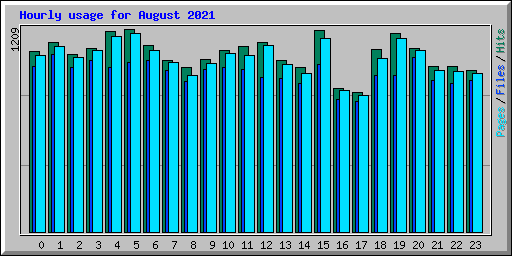 Hourly usage for August 2021