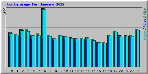 Hourly usage for January 2022