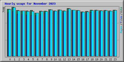 Hourly usage for November 2023