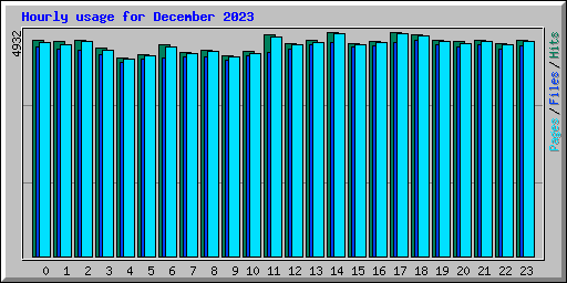 Hourly usage for December 2023