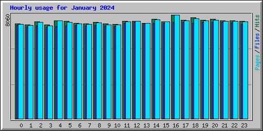 Hourly usage for January 2024