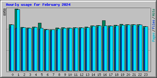 Hourly usage for February 2024