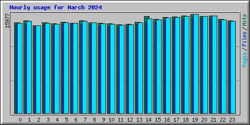 Hourly usage for March 2024