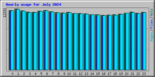 Hourly usage for July 2024