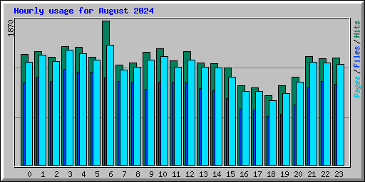 Hourly usage for August 2024