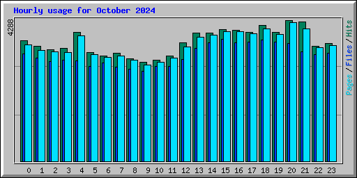 Hourly usage for October 2024