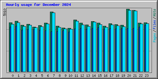 Hourly usage for December 2024