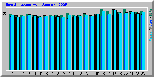Hourly usage for January 2025
