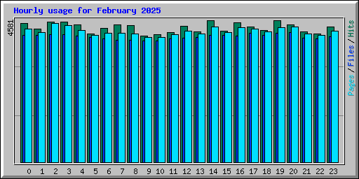Hourly usage for February 2025
